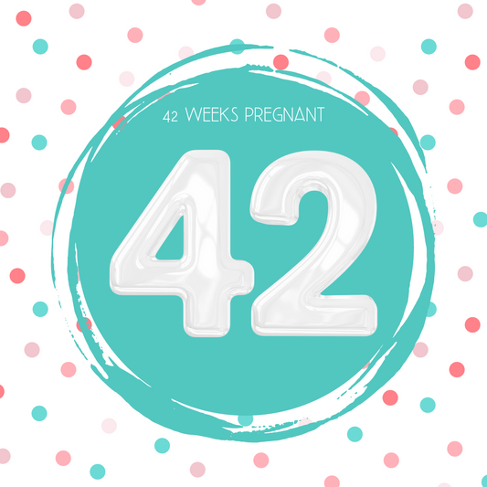 Pregnancy Tracker: Week 42