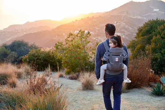 Why use a carrier when travelling?